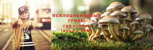 ешки Армянск