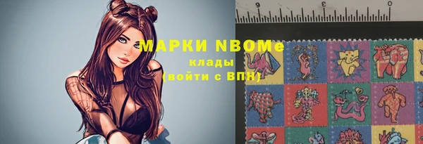 кокс Арсеньев