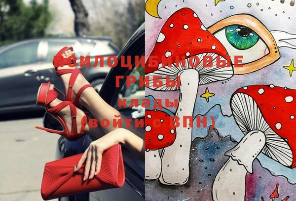 тгк Аркадак