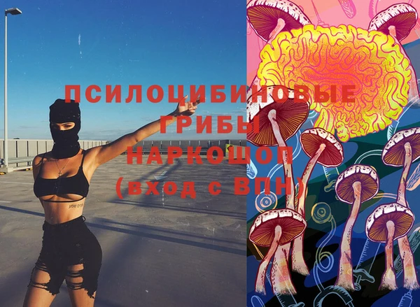 дурь Алексин