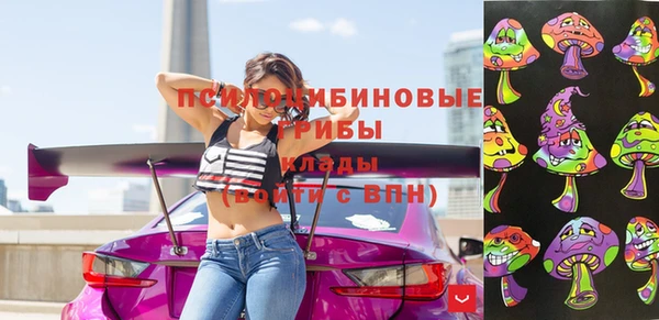 прущие грибы Алзамай