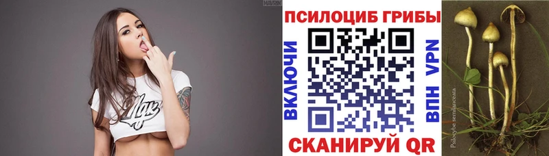 Галлюциногенные грибы прущие грибы  цена наркотик  KRAKEN маркетплейс  Нарткала 
